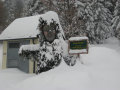Unterberg 2010&nbsp;(8 k�p)