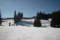 Feldberg a Fekete-erd�ben - 2011. m�rcius. 6.&nbsp;(7 k�p)