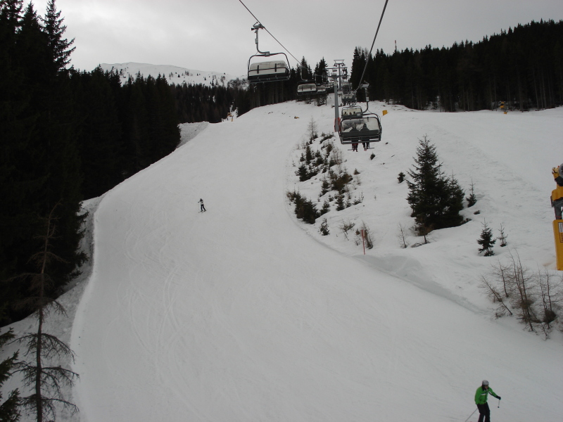 DSC08323.JPG