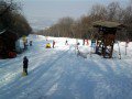 Tokaj 2011.02.27.&nbsp;(10 k�p)