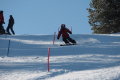 Nivelco Ski Team   2010 Janu�r&nbsp;(59 k�p)