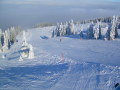 DSCN0766.JPG