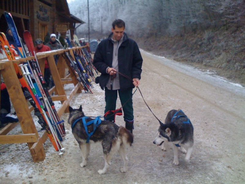 IMG-2039.jpg