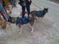 IMG-2038.jpg