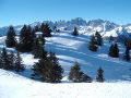 Paganella&nbsp;(4 k�p)
