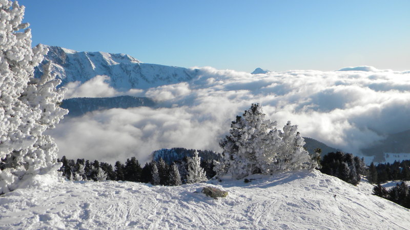 DSCN0305.JPG