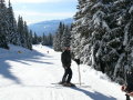 Sieles-2010-Olasz-455.jpg