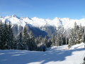 Sieles-2010-Olasz-473.jpg