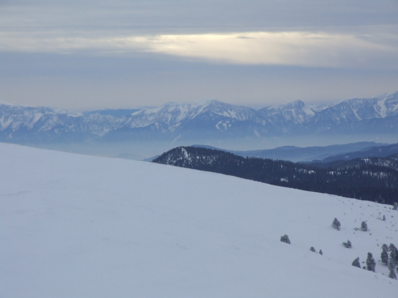 DSCF4942.JPG