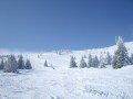 Kopaonik 2010&nbsp;(1 k�p)