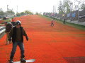 IMG-3689.JPG