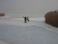 Balaton&nbsp;(1 k�p)