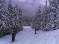 2008. 12. 20. Stuhleck&nbsp;(3 k�p)
