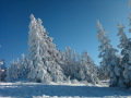 Semmering Sthuleck&nbsp;(2 k�p)