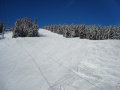 DSC05166.JPG