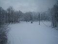 Epleny-017.jpg
