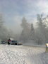 2010.12. K�kestet�&nbsp;(4 k�p)