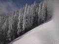 Annaberg 2011.01.18-22.&nbsp;(22 k�p)