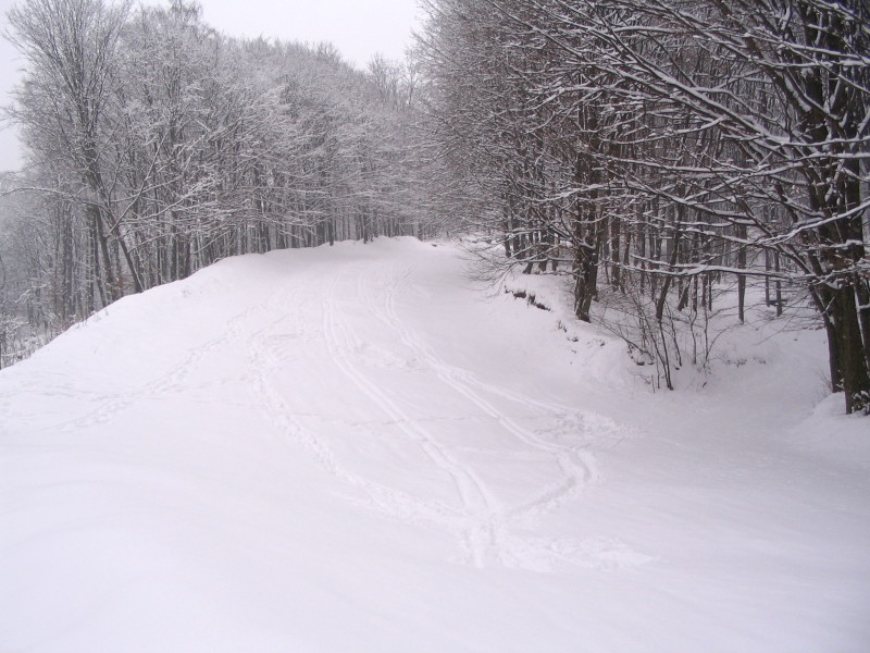 IMG-1240.JPG