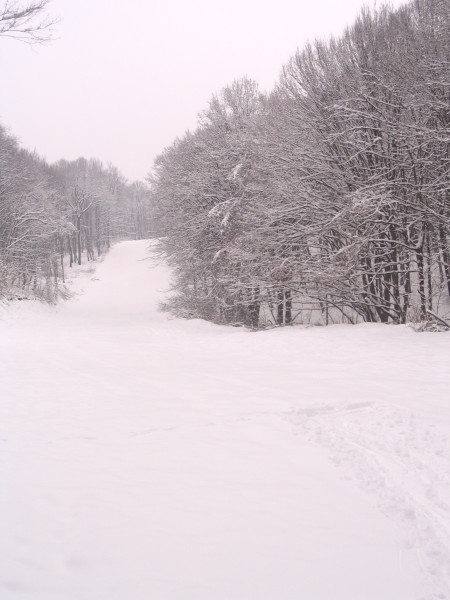 IMG-1252.JPG