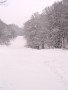 IMG-1252.JPG