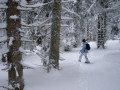 Kopaonik&nbsp;(1 k�p)