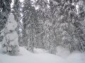 Freeride innen-onnan - K�l�nb�z�, nem t�l t�voli ausztriai helyek&nbsp;(20 k�p)