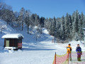 DSCF1646.jpg