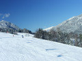 DSCF1655.jpg