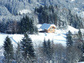 DSCF1660.jpg
