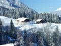 DSCF1661.jpg