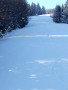 DSCF1662.jpg
