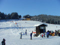 DSCF1667.jpg