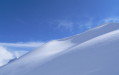 K�pek  innen - onnan&nbsp;(12 k�p)