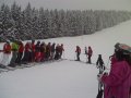 Kedvencek&nbsp;(5 k�p)