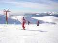 Sinaia - Valea dorului&nbsp;(8 k�p)
