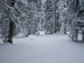 Kopaonik&nbsp;(1 k�p)