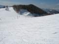 IMG-7001.jpg