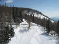 IMG-7003.jpg