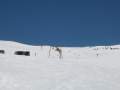 IMG-7013.jpg