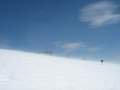 IMG-7036.jpg