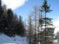IMG-7046.jpg