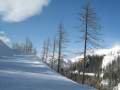 IMG-7051.jpg