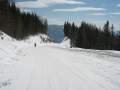 IMG-7053.jpg