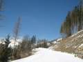 IMG-7060.jpg