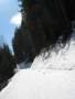 IMG-7064.jpg