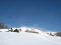 IMG-7077.jpg
