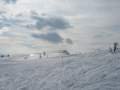 IMG-7115.jpg