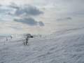 IMG-7116.jpg