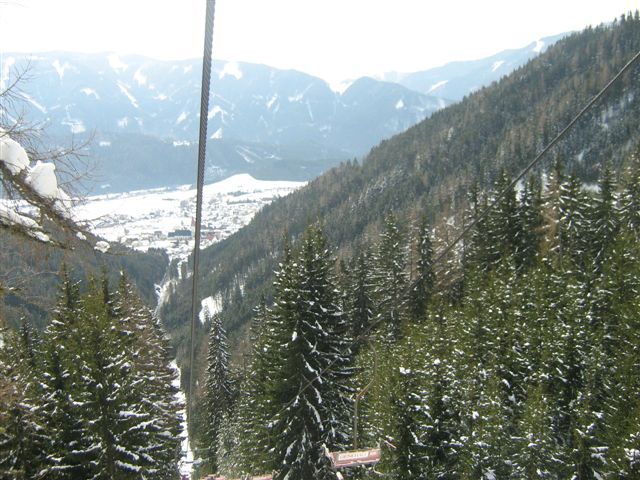 IMG-0361.jpg
